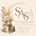 Scents Accents &amp; Sense - Home